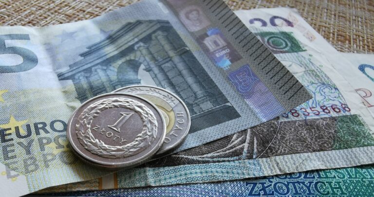 Kursy walut. Czy złoty jeszcze zyska wobec dolara i euro?