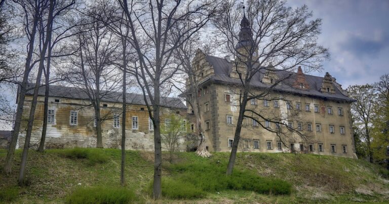 To jeden z najstarszych pałaców na Dolnym Śląsku. Niedługo trafi pod młotek