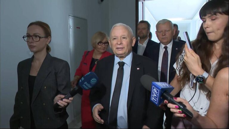 Jarosław Kaczyński porównał partię do drzewa. “Niektóre gałęzie trzeba odciąć”