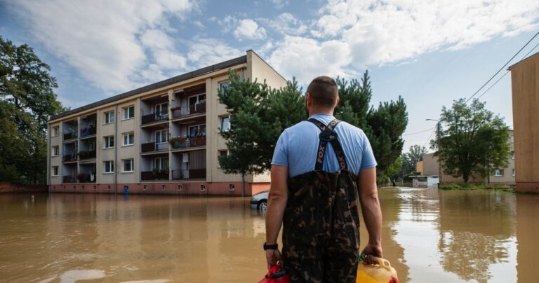 Nowa opcja w aplikacji mObywatel. Zaczęła działać po powodzi