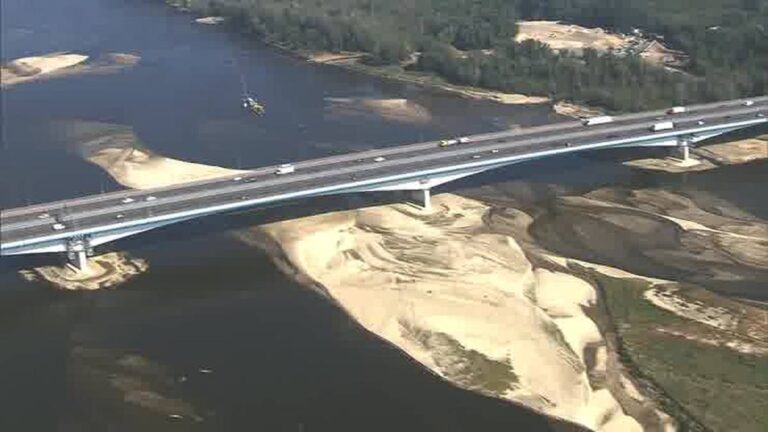 Sztab kryzysowy w Małopolsce. W Wiśle śnięte ryby z poparzonymi skrzelami Sztab kryzysowy w Małopolsce. W Wiśle śnięte ryby z poparzonymi skrzelami