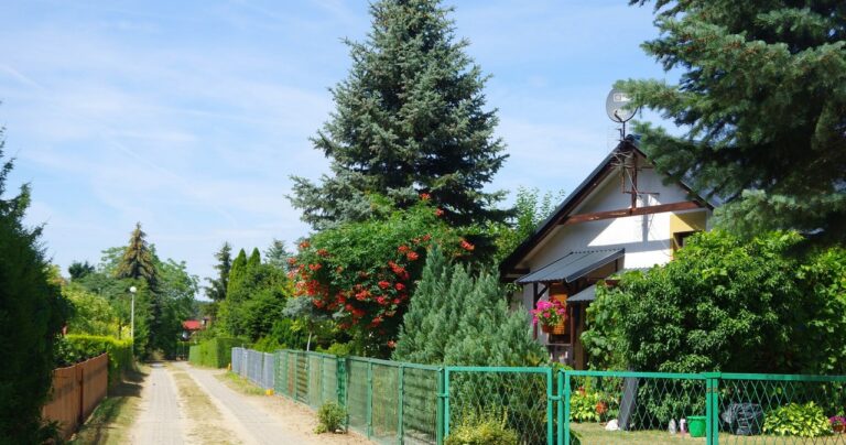 Działkowcy mieli obawy, rząd zapowiada zmiany. “Będą zadowoleni”