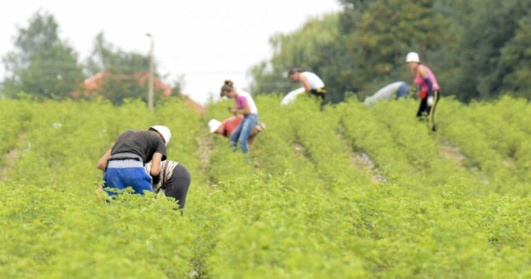 Staż pracy może zwiększyć urlop. Nawet o 16 dni