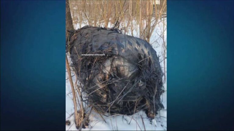Kolejny obiekt znaleziony w Wielkopolsce. „Ładny kawałek historii”