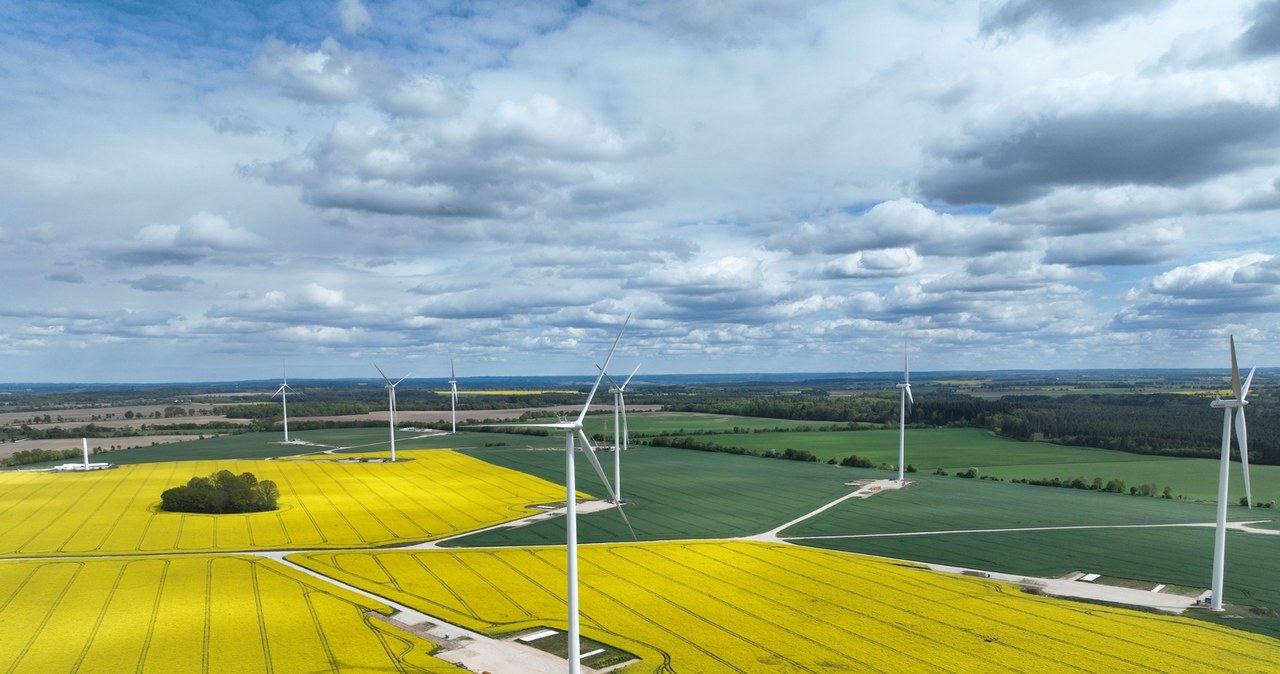 Nowy park wiatrowy Grupy Polsat Plus i ZE PAK. Energia elektryczna już została wprowadzona do sieci. 3f9a4065744dad78b16a2fca64fcb6bf, Biznes Fakty
