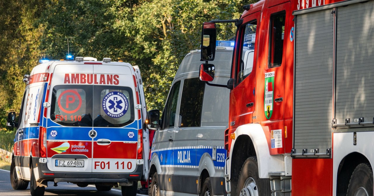 Był jednym z najbogatszych Norwegów. Był ofiarą wypadku samochodowego w Polsce. C43a05f211387b89e341e21b6195c303, Biznes Fakty