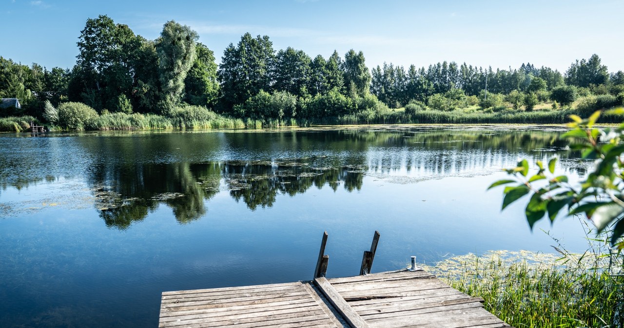 Bardzo słaby sezon dla regionu polskiego. „Prawdopodobnie przetrwają”. 484b3dd120e6f4b64f57caa2c8430fec, Biznes Fakty