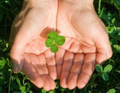 Co pozbawia nas szczęścia? 0ed404ef3bb755e0909f16f768f33e9f, Biznes Fakty