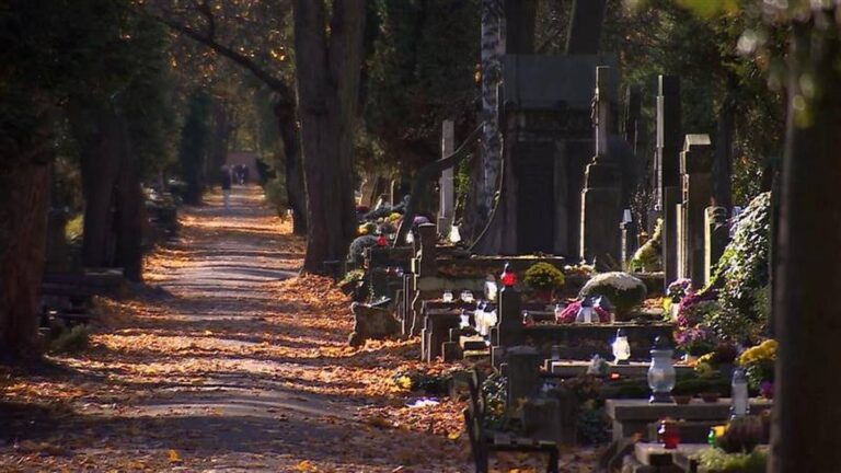 Aura na Dzień Zmarłych. Lokalnie możliwe opady. 78c4c361f5fd41806eaff226628e3f43, Biznes Fakty