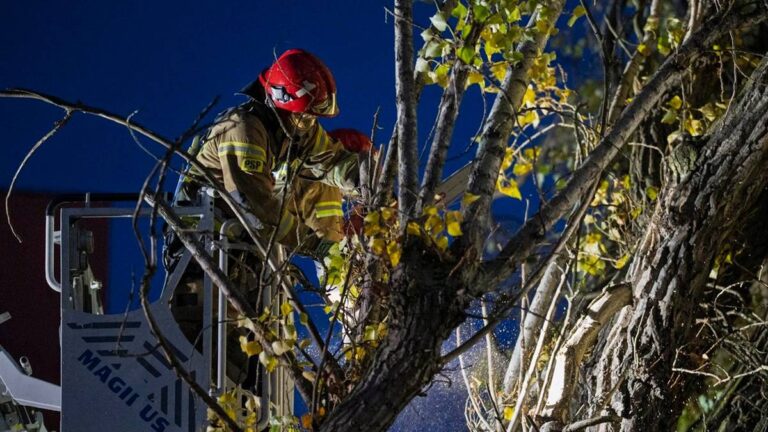 Intensywne deszcze i wichury w kraju. Przeszło tysiąc zgłoszeń, zamknięty cmentarz miejski. 864e4fcfaa4ee3c84d5367e4ed48c433, Biznes Fakty