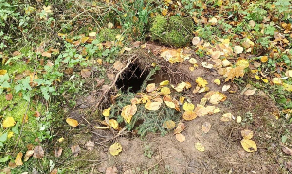 Podkop Na Granicy Polsko Biaoruskiej Szef Mswia Tunel Mia 30 M Dugoci 8967847, Biznes Fakty