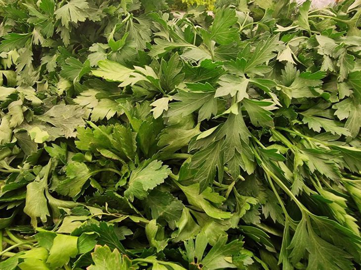 0b9b95162e59d95c7f4258f8f78a4794, Biznes Fakty