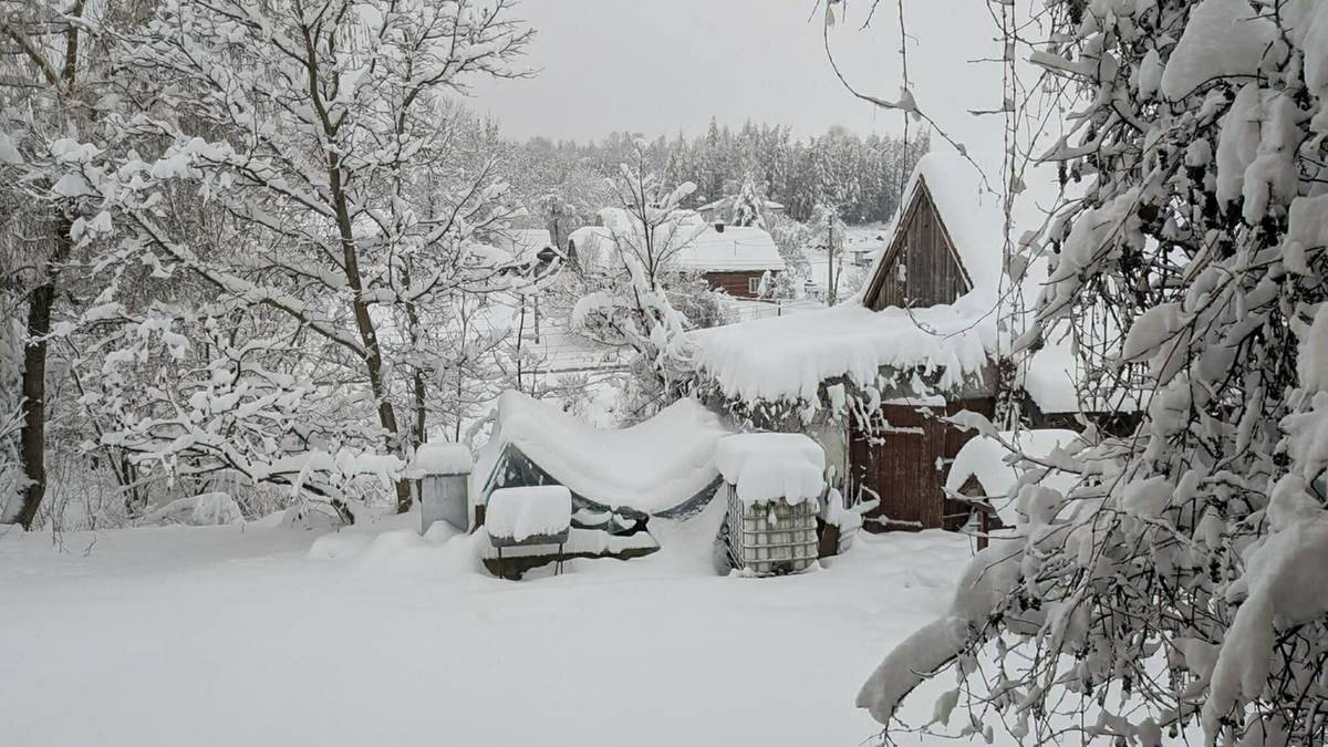 0d1932cdd97f266fa4facc56b2878d3c, Biznes Fakty