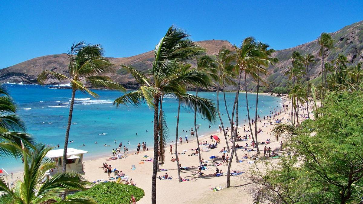 12fca684a70e57fb61d2cd8b030072fc, Biznes Fakty