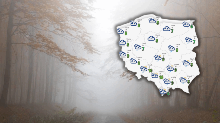 346720074b7270db6901fc608bbdd223, Biznes Fakty