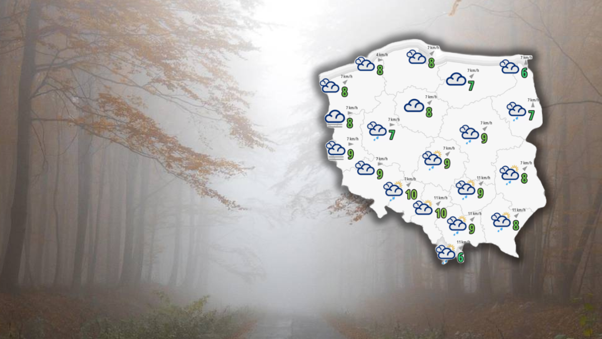 346720074b7270db6901fc608bbdd223, Biznes Fakty