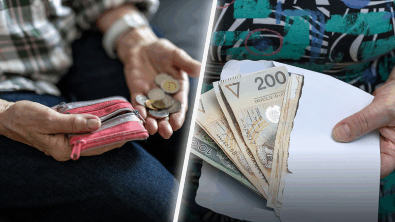 397f493da1b8ec66853d630bbd5d71df, Biznes Fakty