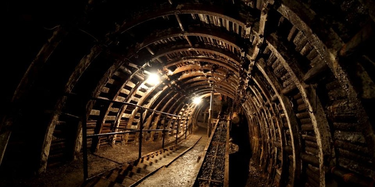 6a211ca86a5cd47a82df9620d31d47af, Biznes Fakty