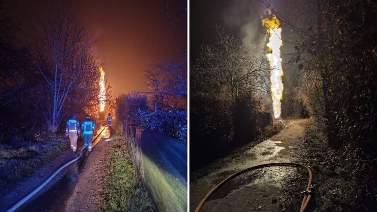 6bdca9bb2b063ee130a454dfb8e24924, Biznes Fakty