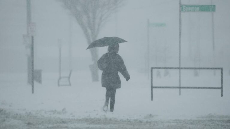 8341e4ed81f6a47cf463d8e75c99f43a, Biznes Fakty