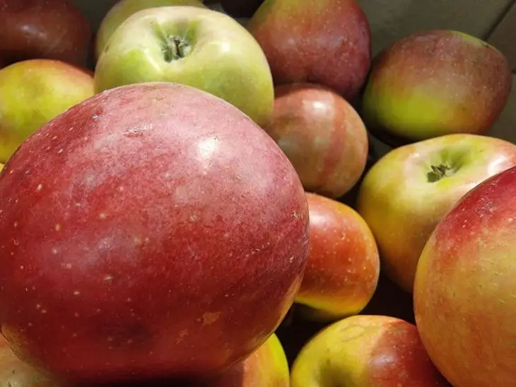 Co się stanie, jeśli będziesz jeść jedno jabłko dziennie przez miesiąc: zmiany, które zauważysz już po tygodniu 8d1a0be9e7b4d0862f14cb63f21d9554, Biznes Fakty