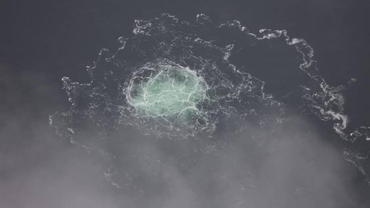 95e77a20e36cdf8b8cbc82019ebae734, Biznes Fakty