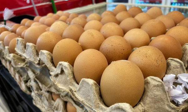 Jaja z Brazylii i Tajlandii zaleją polski rynek? Niskie ceny surowca wabią przetwórców. Brazylijskie I Tajskie Jaja Podbij Polsk Przetwrnie Kuszone Niskimi Cenami Surowca 9768abb, Biznes Fakty