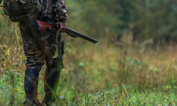 Burzliwa Dyskusja W Sejmie O Dostpie Do Broni Nikt Nie Chce Zabiera Praw Myliwym 044d89a, Biznes Fakty