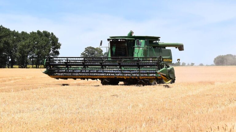 KE przeciw restrykcjom na ukraińskie towary. Wywrze presję m.in. na Polskę. C6bb2883cb2f3eec0d9c0aee3144956c, Biznes Fakty