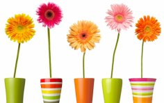 Czy myśli i słowa mogą zagrażać życiu? C71208a6a70890729289ab1091a4e2a6, Biznes Fakty