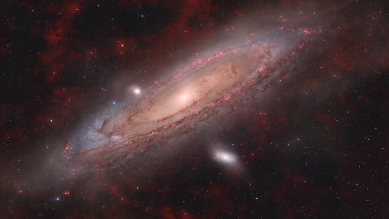 C86a7c17e3776c702035daf1f08b33df, Biznes Fakty