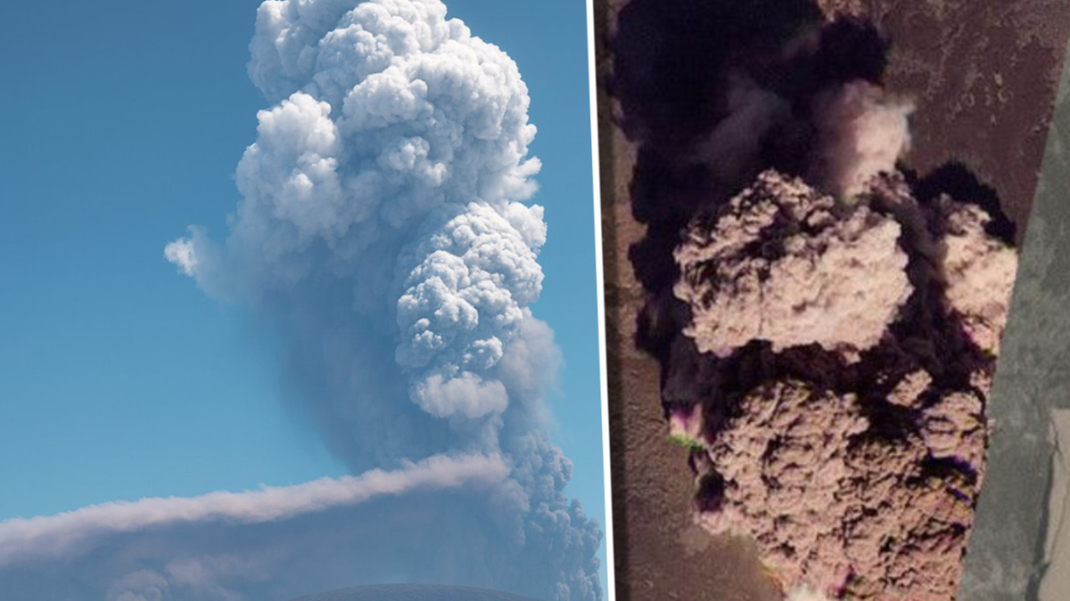 Ce1a788b49a68599981ab3dca45d930a, Biznes Fakty