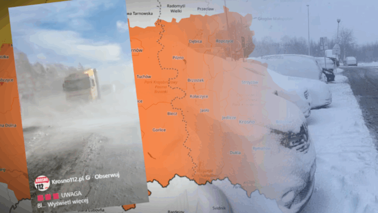 E16a70fb49d73934ba5a7fb6a66d1ffe, Biznes Fakty