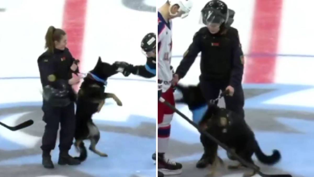 E48679fd5e6e3e6b46a972a97b7dac7d, Biznes Fakty