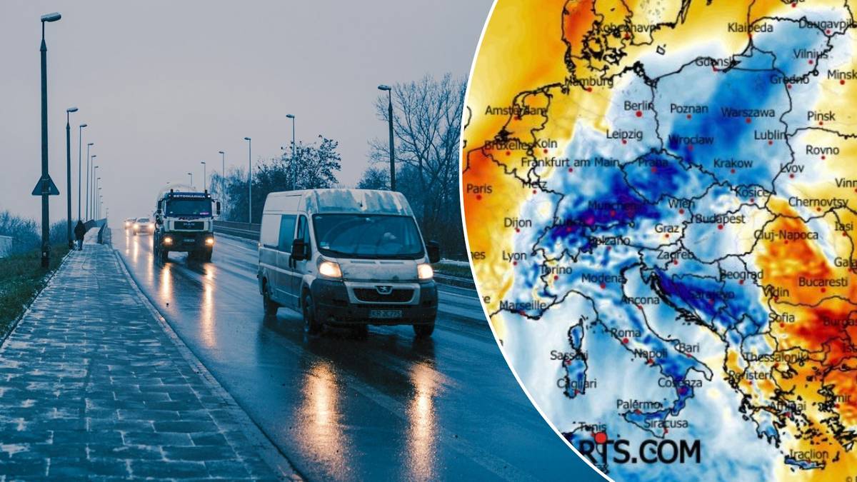 Ec69862c371f494d45c58f47cf664264, Biznes Fakty