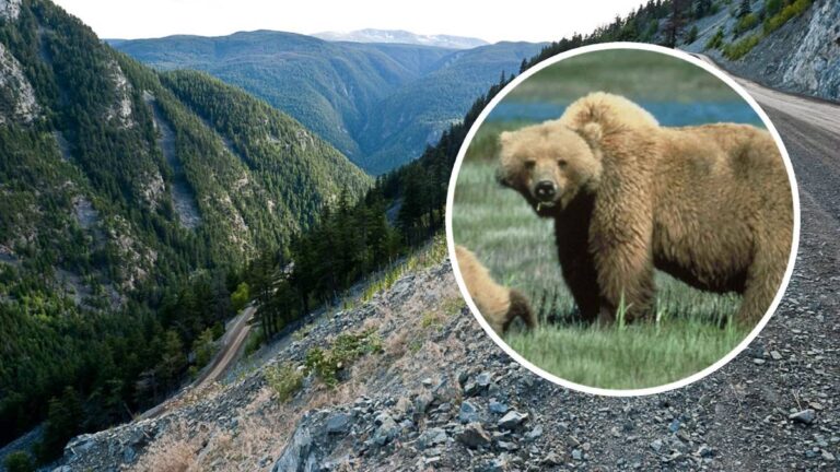 F223a856c91e460e1c5834911a8e0931, Biznes Fakty