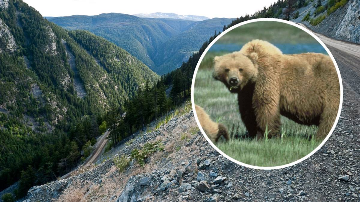 F223a856c91e460e1c5834911a8e0931, Biznes Fakty