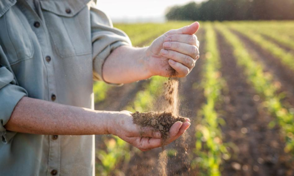 Koniec z online’ową sprzedażą groźnych pestycydów. Wprowadzono Zakaz Sprzeday Przez Internet Niebezpiecznych Rodkw Do Zwalczania Szkodnikw 40ce9dc, Biznes Fakty