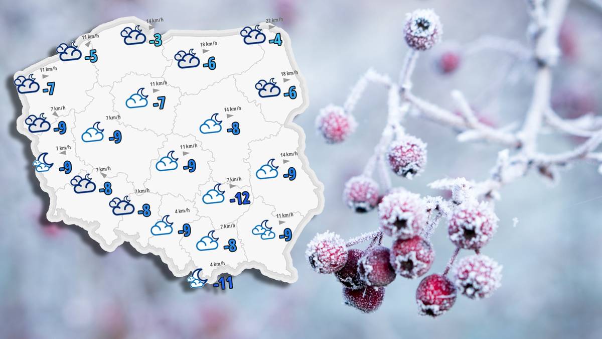 Mapa Polski z symbolami pogody wskazującymi temperaturę i opady, obok gałązka pokryta szronem z owocami głogu.