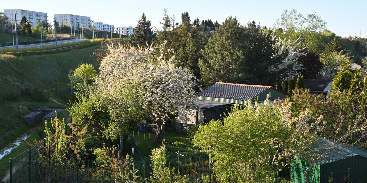Ogrodnicy działkowi zabiegają o los swoich upraw. Zwrócili się z prośbą do władz. 2 Rodzinne Ogródki Działkowe w Gdańsku