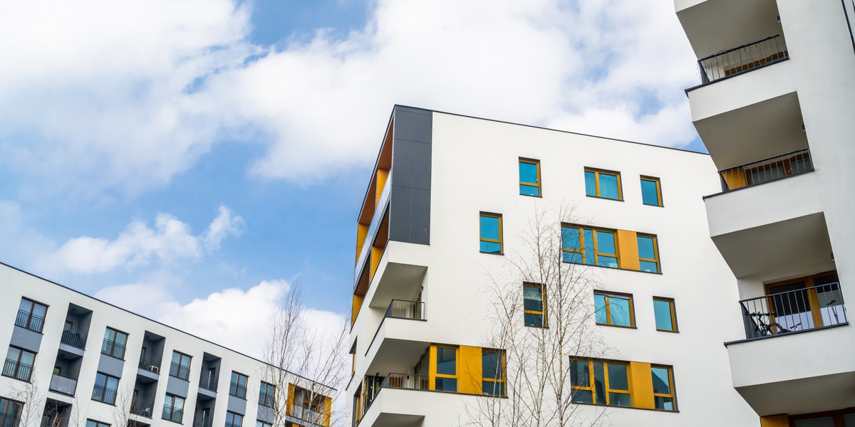 Programiści pod wpływem handlu online. Autentyczne recenzje kształtują branżę. 4 Rynek przeszedł w fazę klienta świadomego i wymagającego