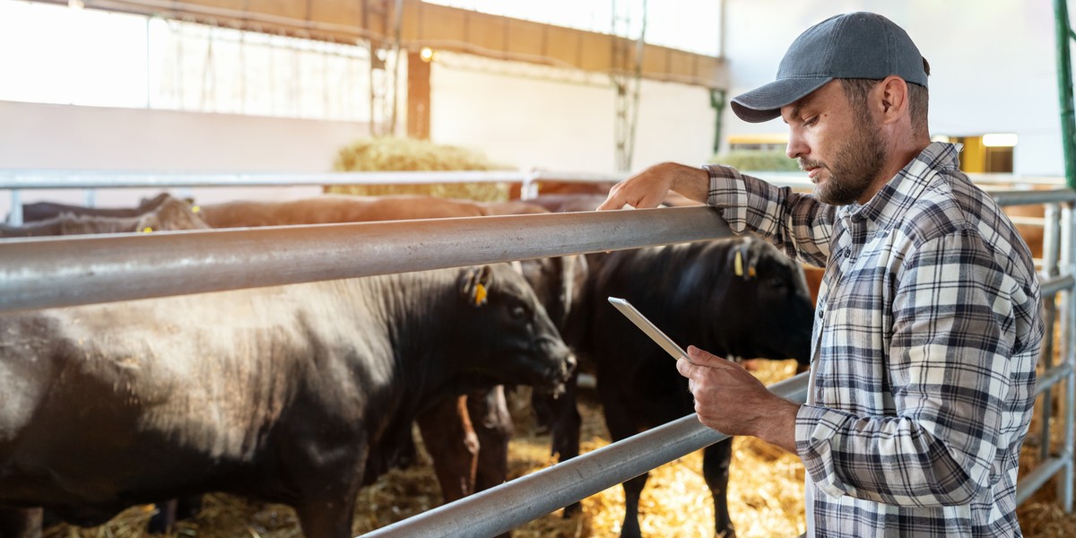 Hodowcy kr&oacute;w obawiają się wpływu umowy z Mercosurem