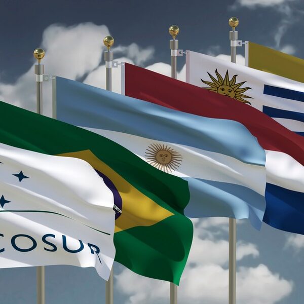 Nowy obszar swobodnej wymiany handlowej UE-Mercosur. Kontrowersje, troski i tło&hellip;