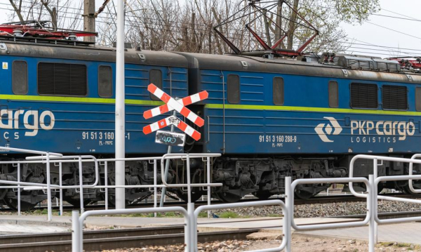 Udział PKP Cargo w rynku przewiezionych towar&oacute;w wg masy spadł rdr po XI do 26,46 proc.