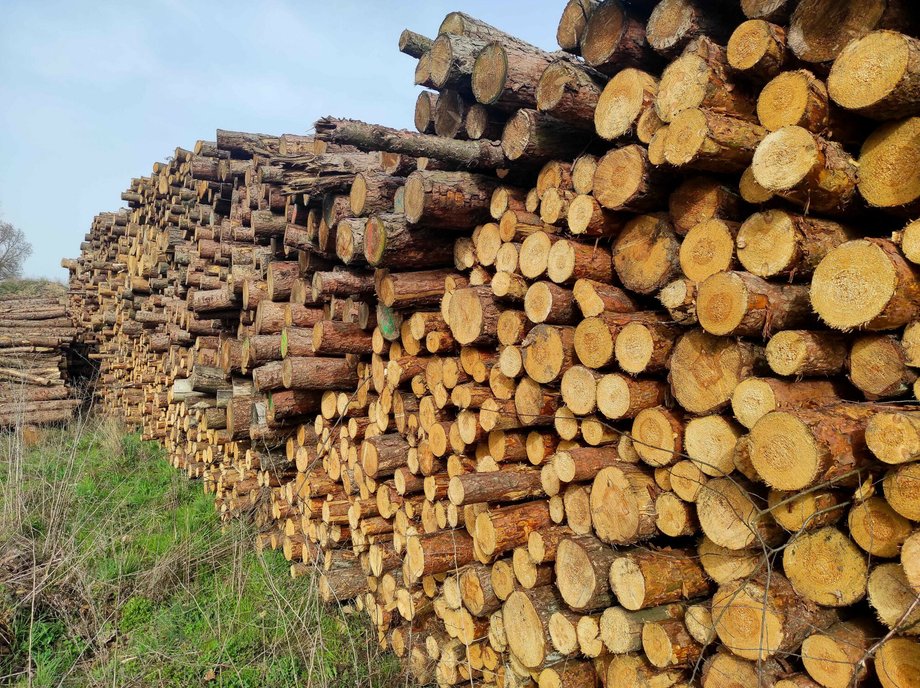 Według Polskiej Rady Pelletu na rynku znajduje się obecnie za mało okrągłego drewna