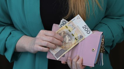 Takie kwoty pożyczają Polacy. Z roku na rok coraz więcej