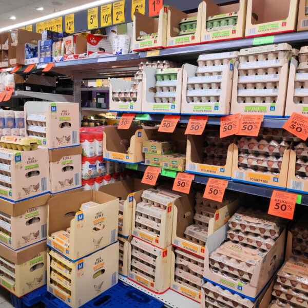 Główna 88 Odkryj sekrety wojen cenowych – jak dyskonty manipulują…