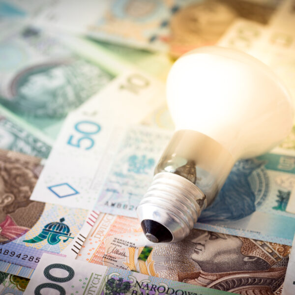 Główna 116 Państwo ratuje przemysł: Jak miliardowe rekompensaty chronią firmy…