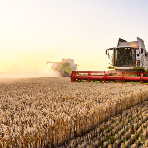 Główna 110 Zmiany w prawie zagrażają rolnictwu? Sektor wzywa do…