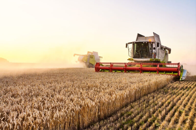 Zmiany w prawie zagrażają rolnictwu? Sektor wzywa do pilnej interwencji